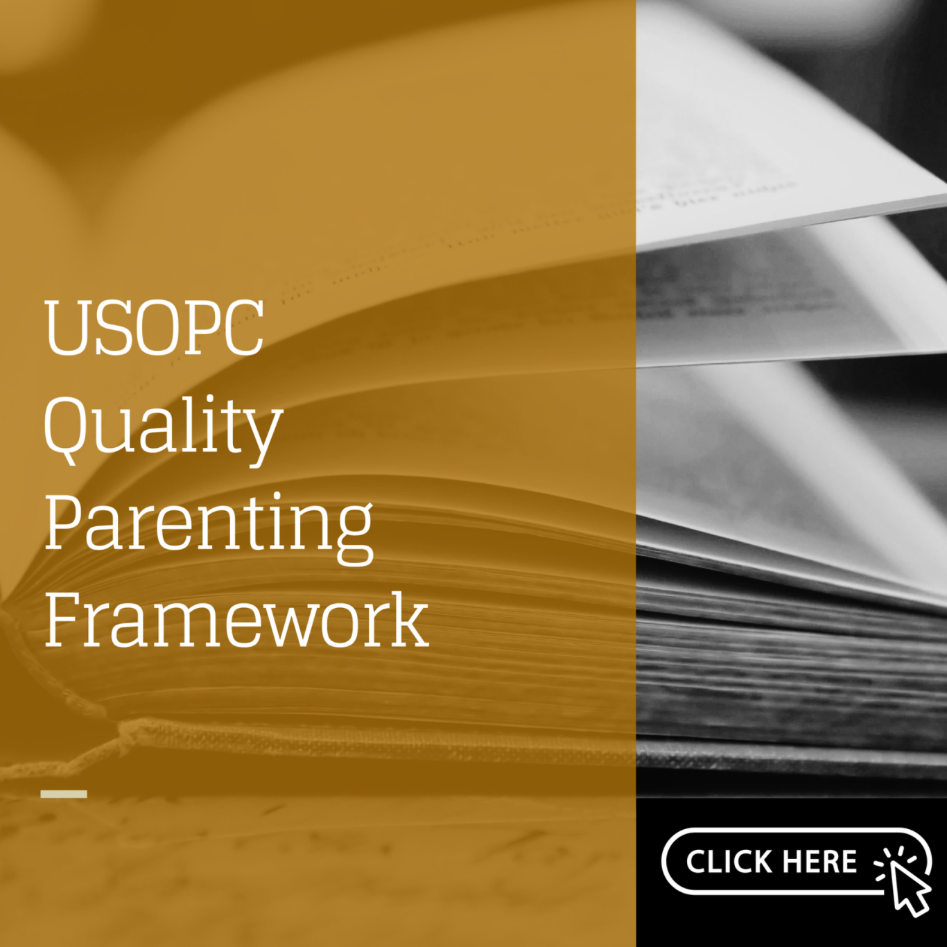 Dorsch, T., Weiss, M., Visek, A. J., Quality parenting framework: A Consensus Statement
