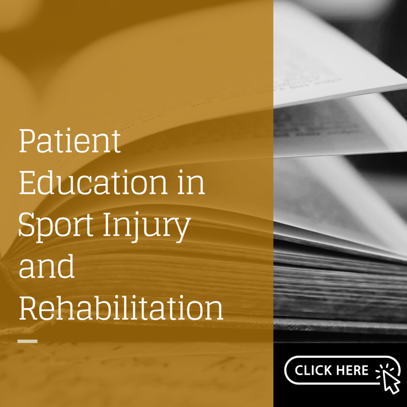 Arvinen-Barrow, M., Visek, A. J., & Barrow, A. (in press). Patient education in sport injury and rehabilitation. Routledge. 