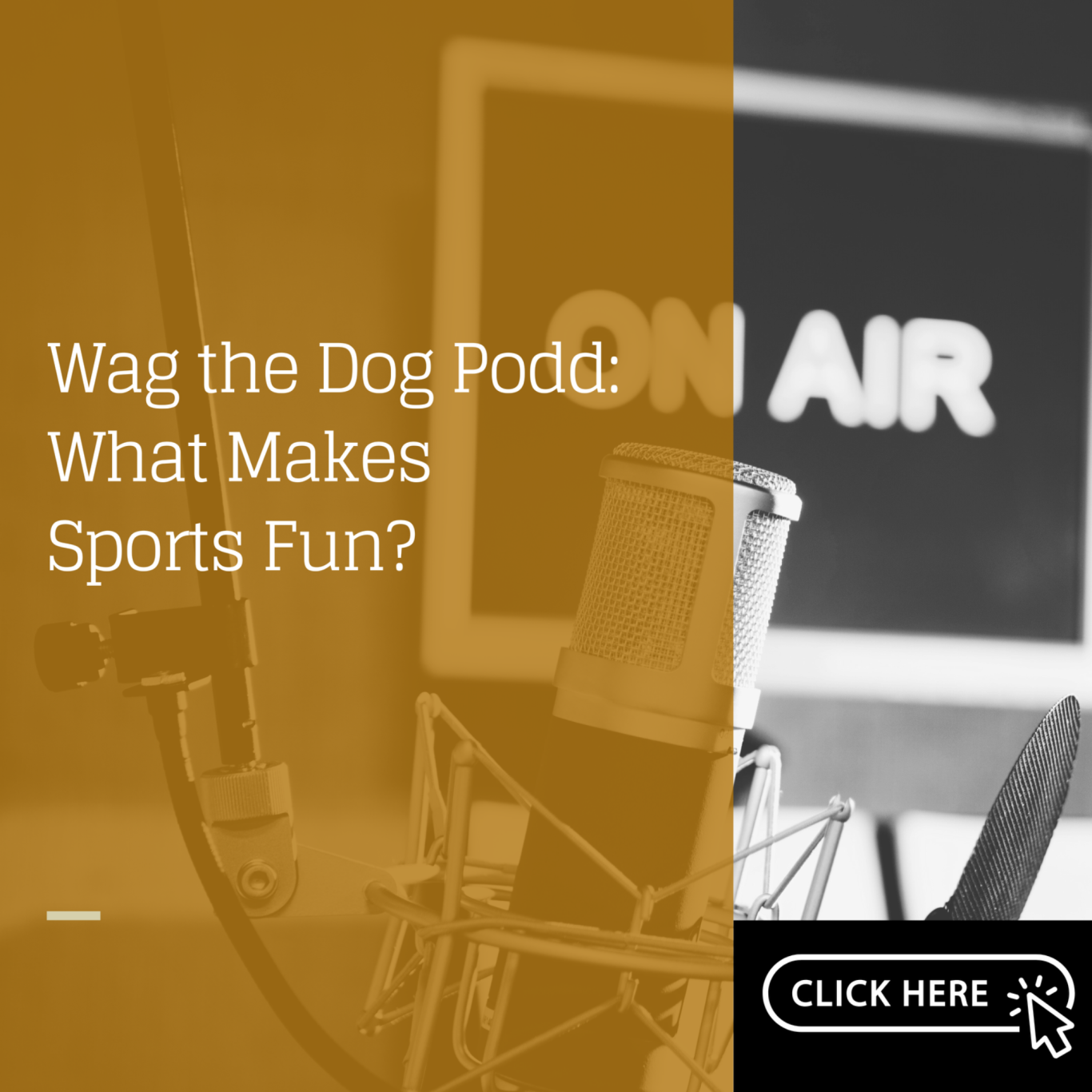 Dr. Amanda Visek interview about fun in sport