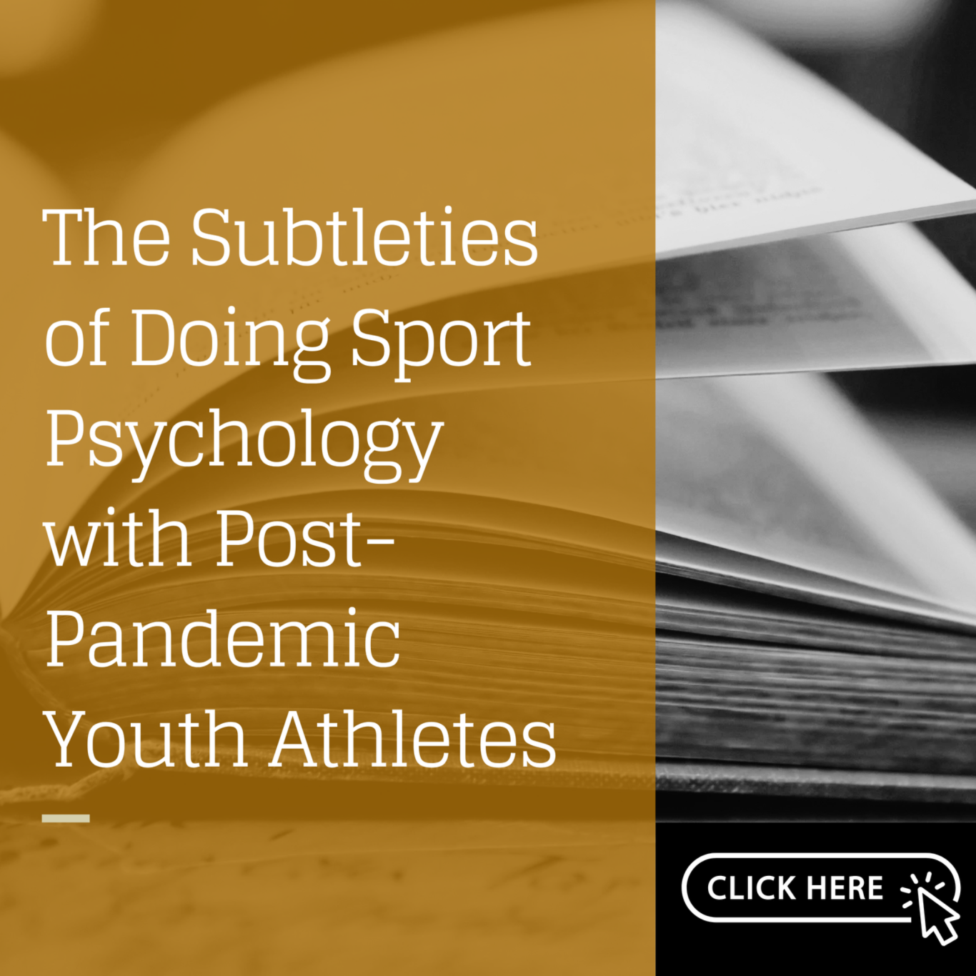 Arvinen-Barrow, M., & Visek, A. J. (2025). The subtleties of doing sport psychology with
post-pandemic youth athletes. In B. Hemmings, T. Ho