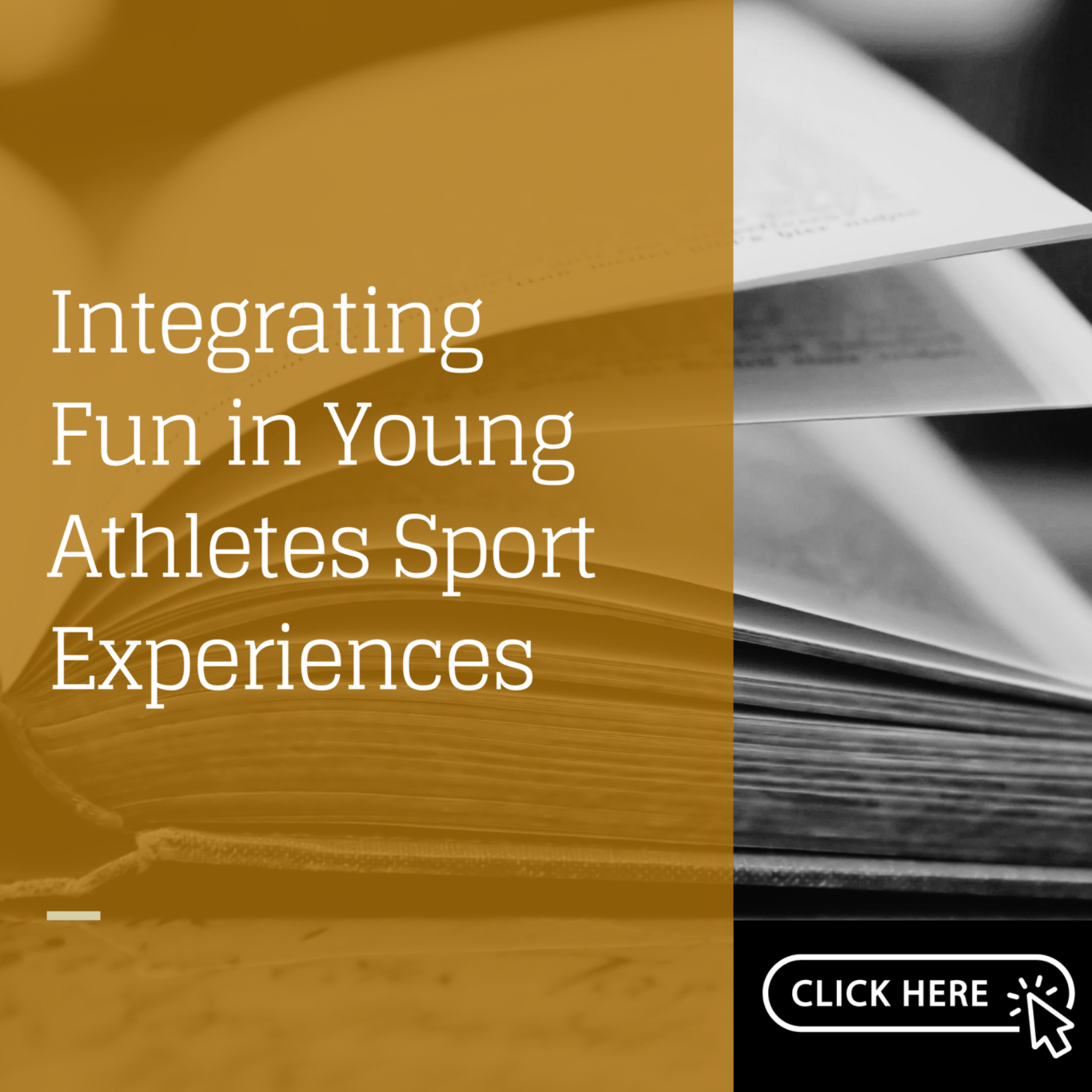 Visek, A. J., Mannix, H. Mann, D., & Jones, C. (2018). Integrating fun in children’s sport
experiences. In C. Knight, C. Harwood, & D. Gould