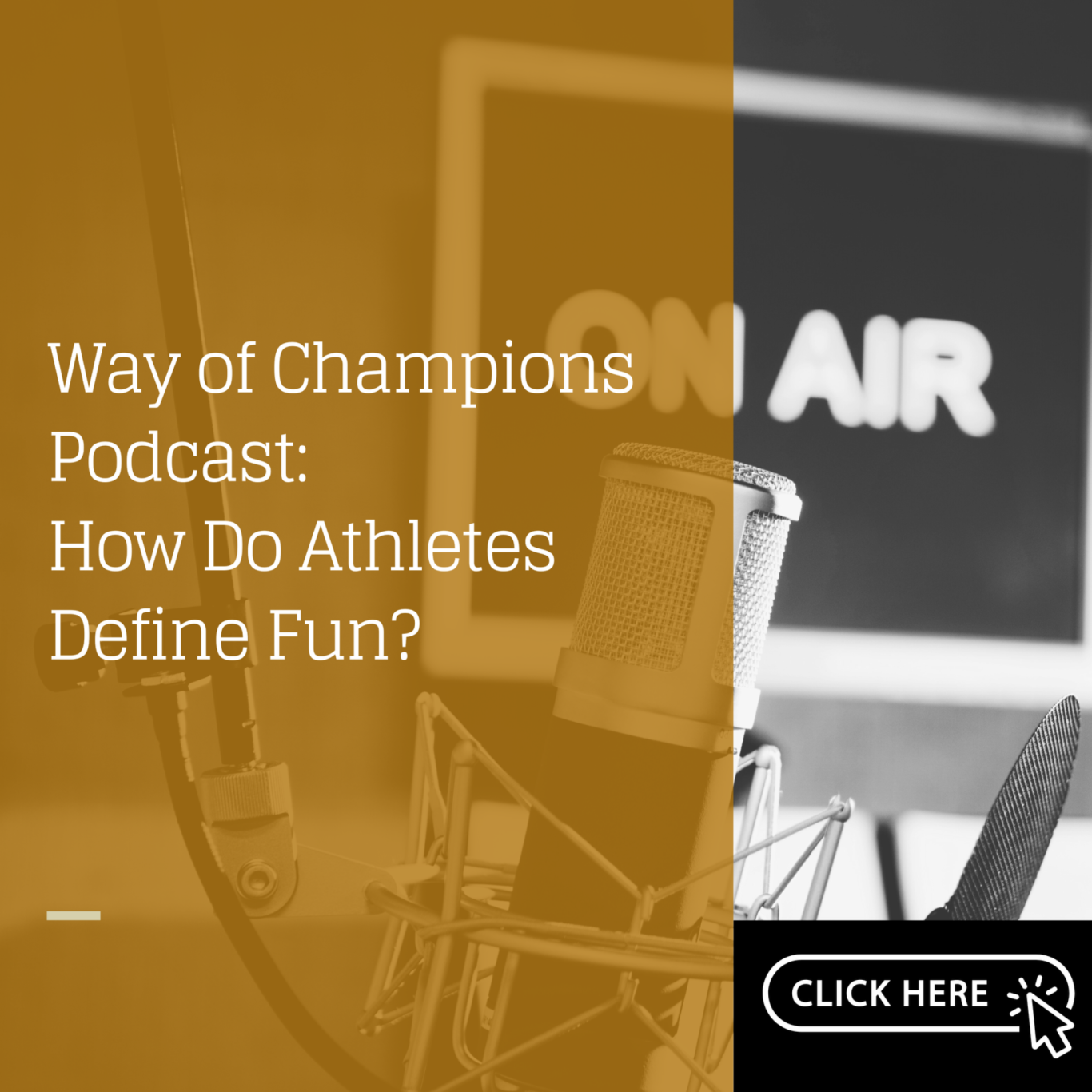 Link to the Way of Champions Podcast  featuring Dr. Amanda Visek