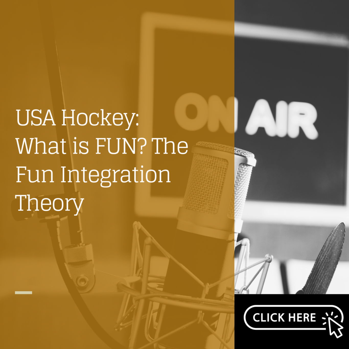 A full Webinar recording by USA Hockey featuring Dr. Amanda Visek