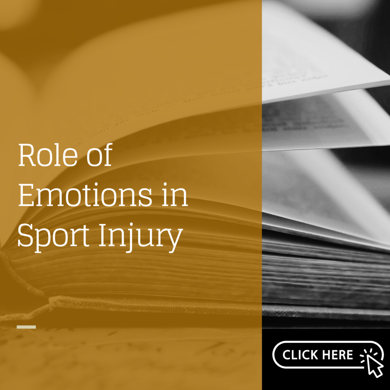 Arvinen-Barrow, M., & Clement, D. (2021). Role of emotions in sport injury. In M. C. Ruiz & C. Robazza (Eds.), Feelings in sport.